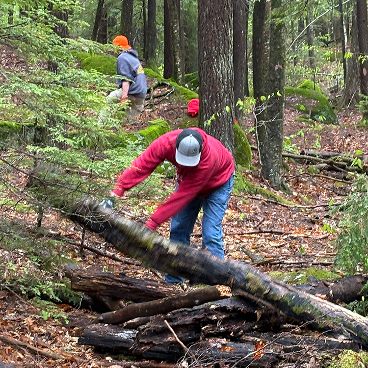Harris Center for Conservation Education